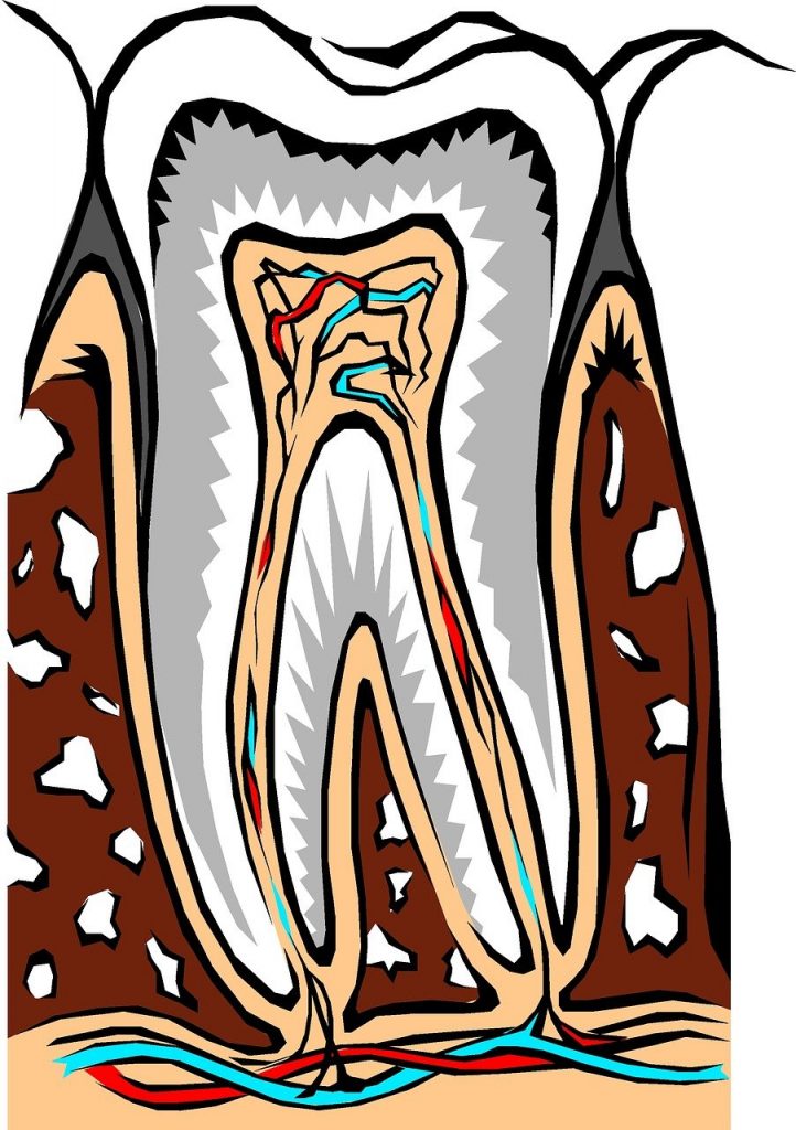 root canal treatment dentist near